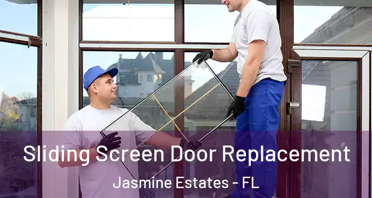  Sliding Screen Door Replacement Jasmine Estates - FL