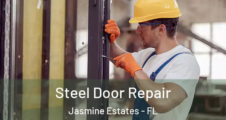  Steel Door Repair Jasmine Estates - FL