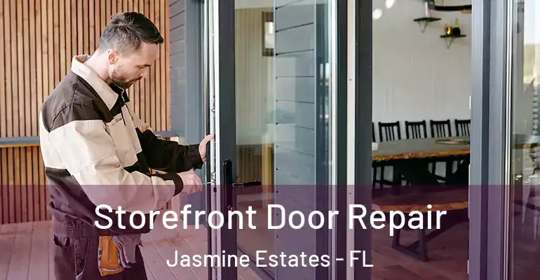 Storefront Door Repair Jasmine Estates - FL