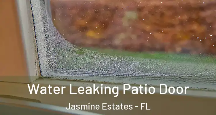  Water Leaking Patio Door Jasmine Estates - FL