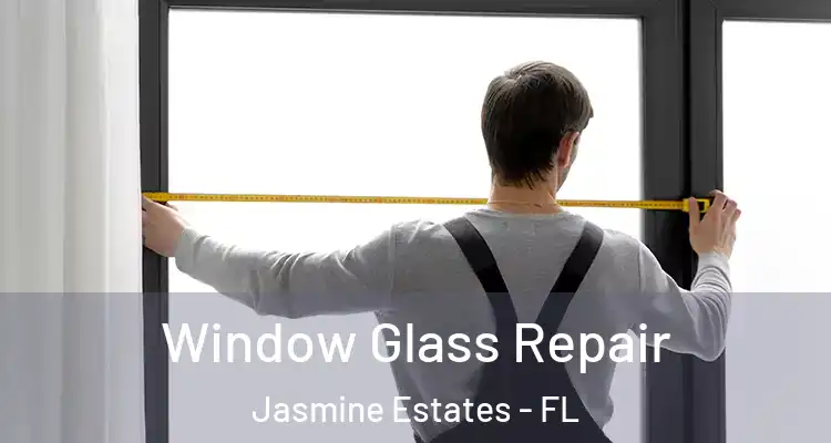  Window Glass Repair Jasmine Estates - FL