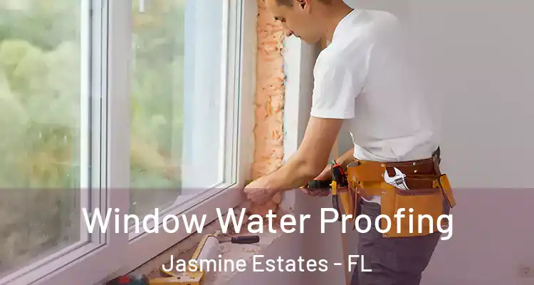  Window Water Proofing Jasmine Estates - FL